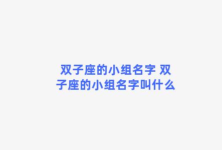 双子座的小组名字 双子座的小组名字叫什么